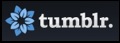 tumblr_logo
